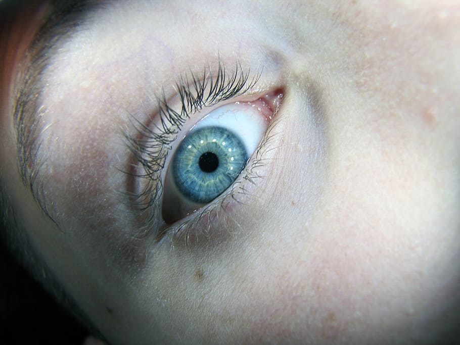 eye, szupermakró, macro, iris, watch, eyelash, skin, human eye HD wallpaper
