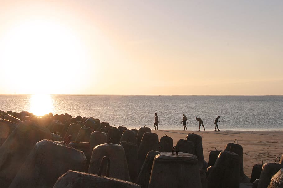 people standing on shoreline during sunset, play, cheerful, together