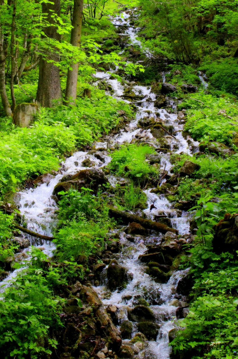 Waterfall, Clear, Flow, Stones, waters, waterfalls, nature HD wallpaper