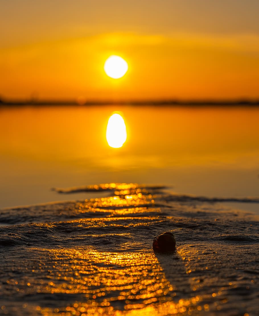 sunset, water, twilight, shell, sky, beauty in nature, scenics - nature HD wallpaper