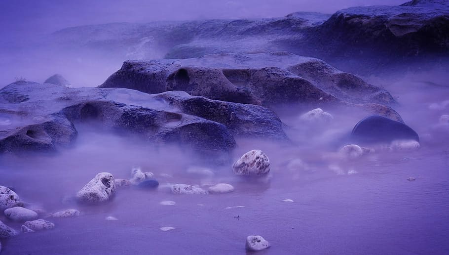 photography of sea shells on sea shore, bay, beach, coast, ocean HD wallpaper