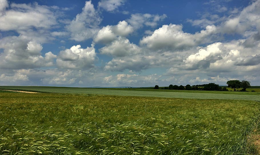 landscape, spring, clouds, promenade, mainz, arable, germany HD wallpaper