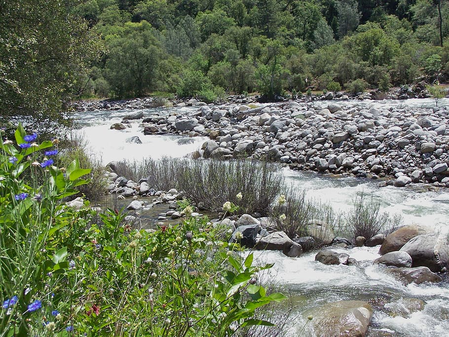 water, river, stream, landscape, natural, creek, beauty, outdoors HD wallpaper