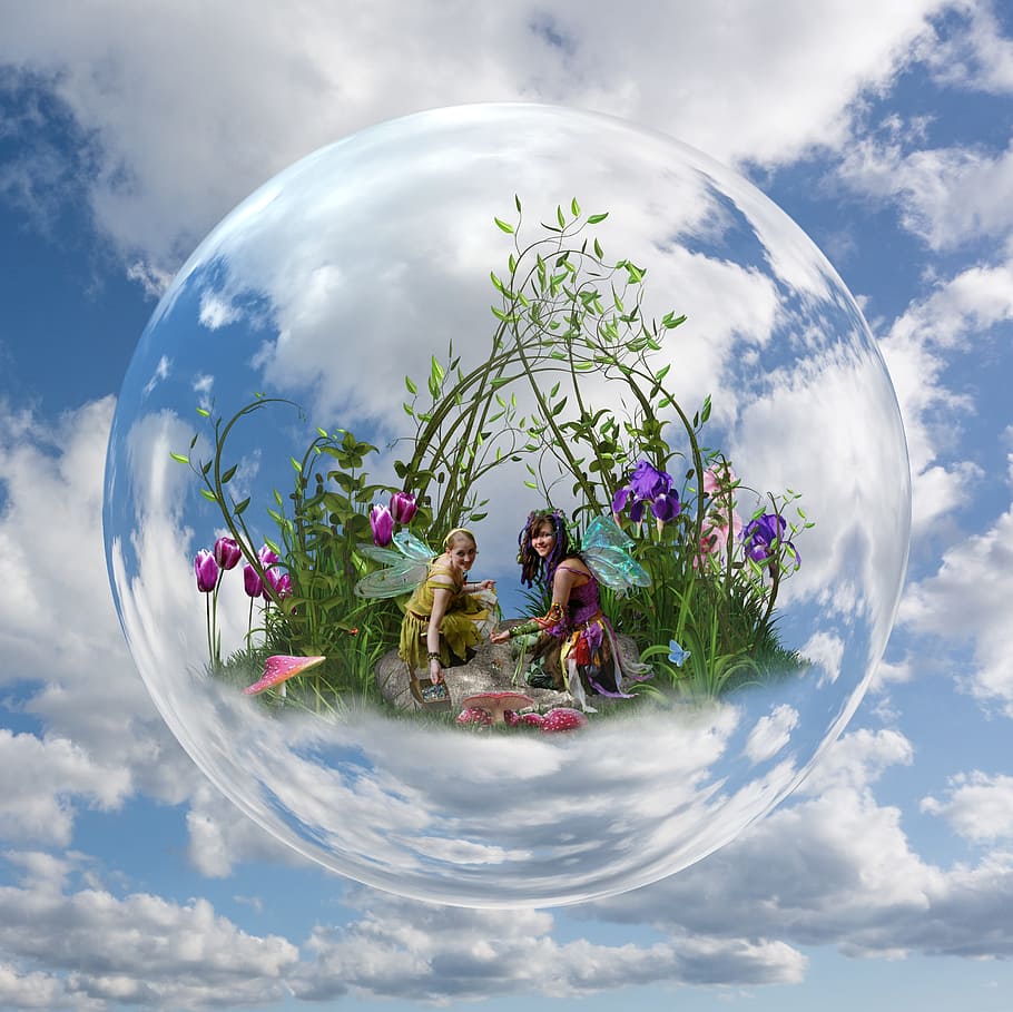 two fairies near purple petaled flowers inside bubble digital wallpaper, HD wallpaper
