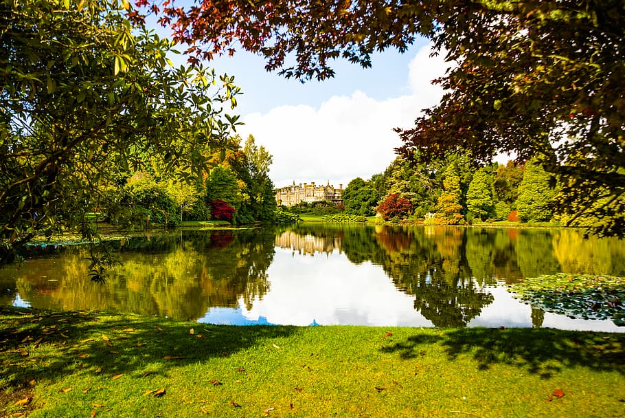 landscape photo of body of water surrounded with trees, lake HD wallpaper