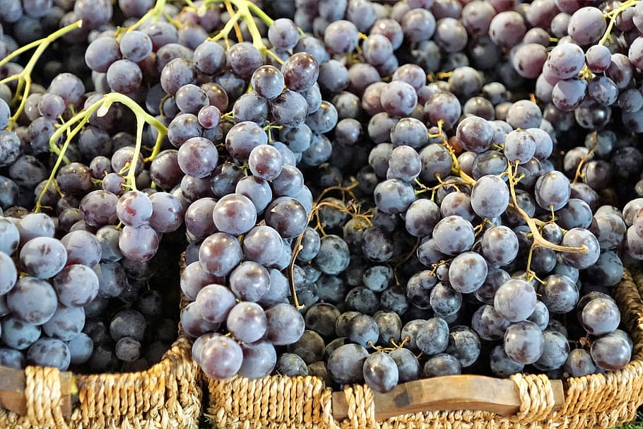 bunch of grapes, wine, vine, winegrowing, gasthof, to grape, grapevine, HD wallpaper