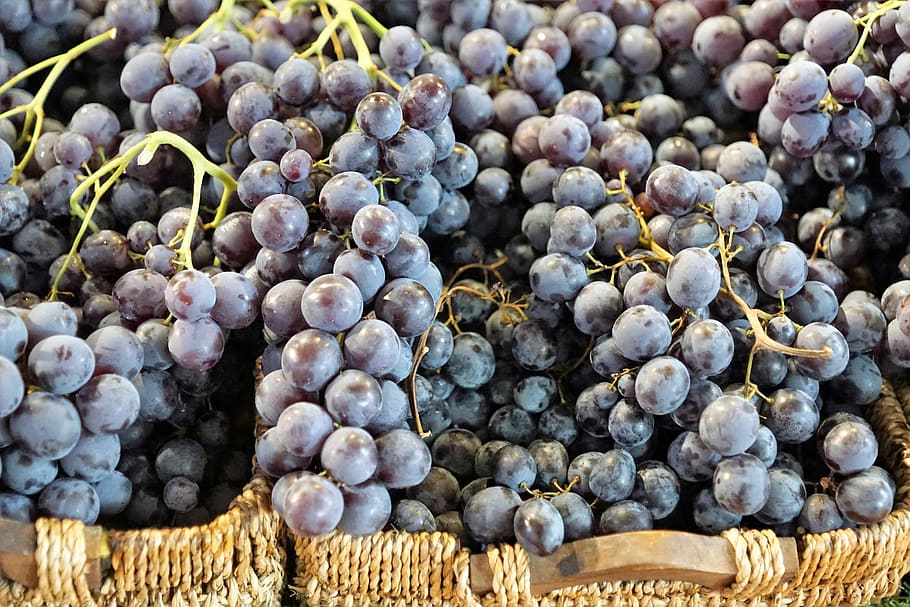 bunch of grapes, wine, vine, winegrowing, gasthof, to grape HD wallpaper