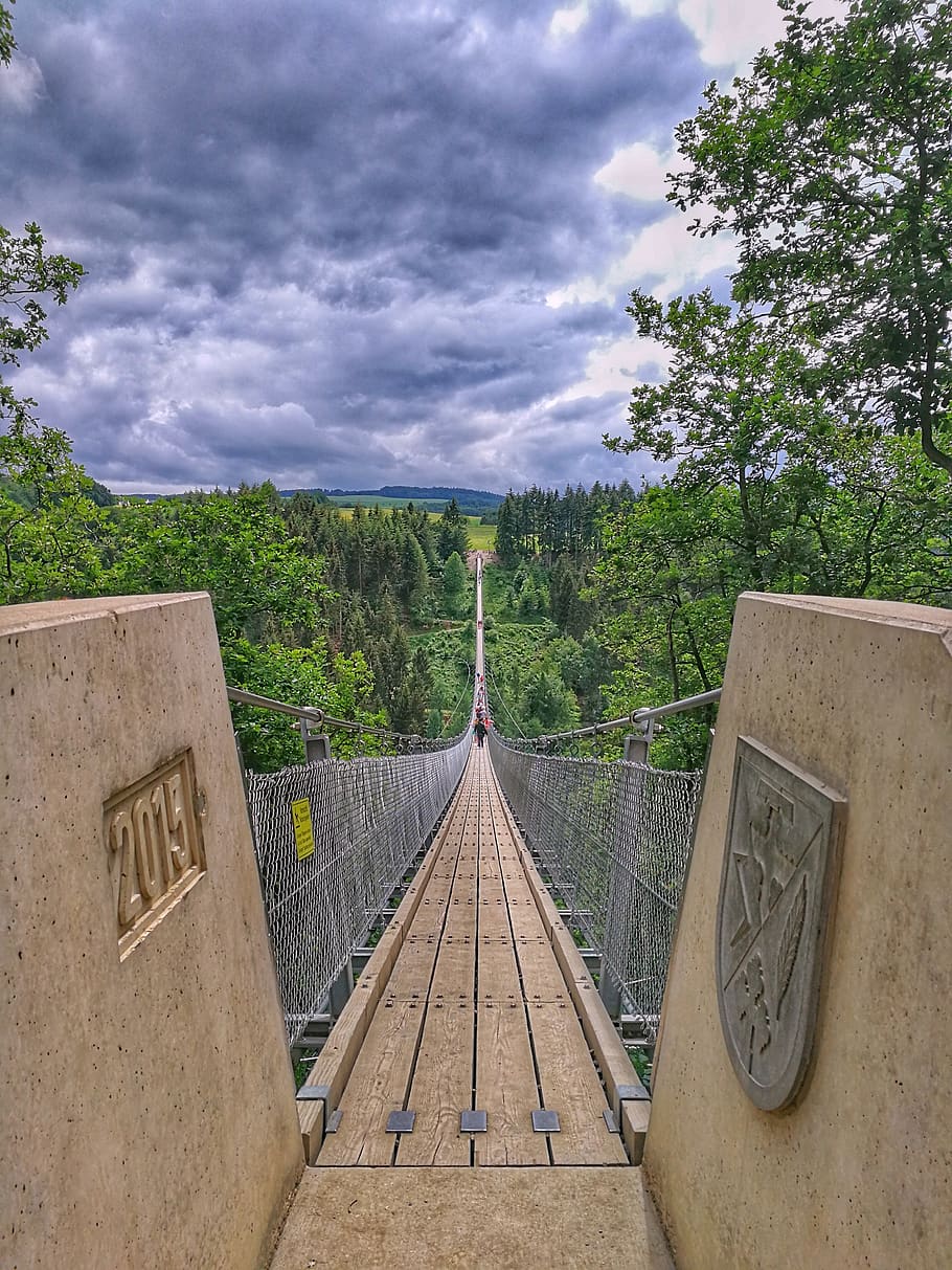 bridge, travel, sky, architecture, cloud - sky, tree, plant HD wallpaper