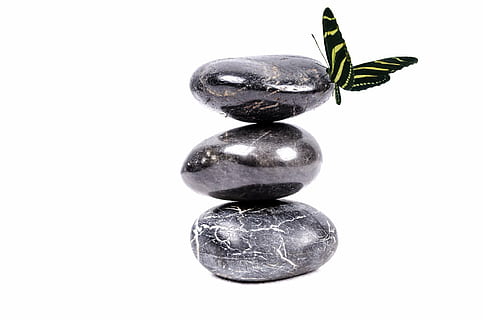 three gray stones and yellow butterfly on white background photo HD wallpaper