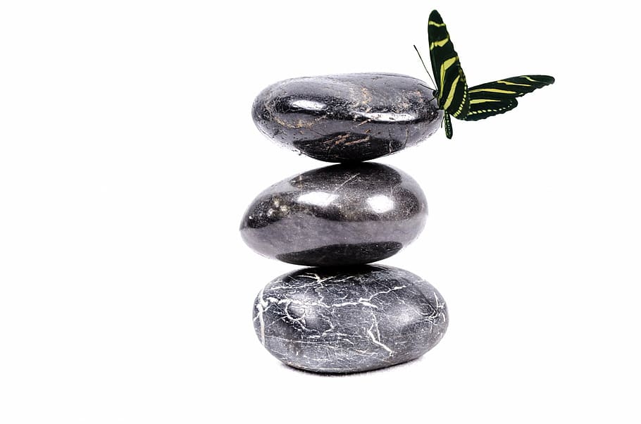 three gray stones and yellow butterfly on white background photo HD wallpaper
