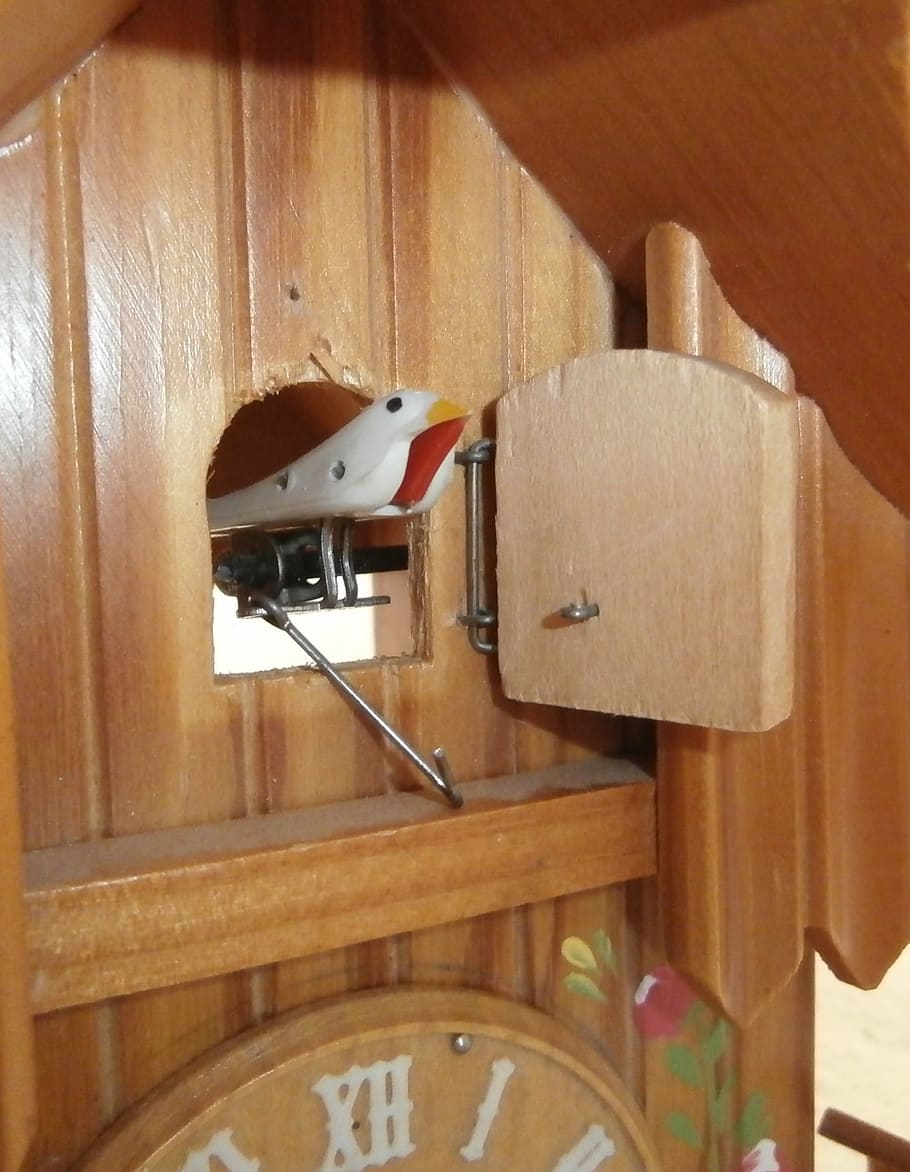 cuckoo clock, time, vintage, antique, german, wood - material HD wallpaper