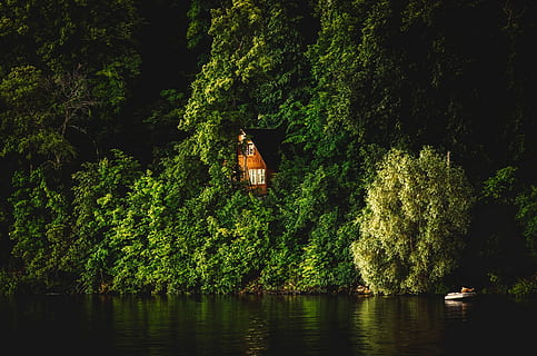 Cabin, Cottage, Lake, Lake, Forest, Trees, woods, remote, hideaway HD wallpaper