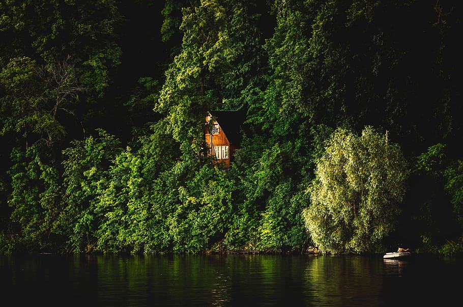 Cabin, Cottage, Lake, Lake, Forest, Trees, woods, remote, hideaway HD wallpaper