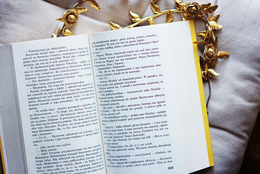 book, open, open book, lying, reading, entertainment, vacations HD wallpaper