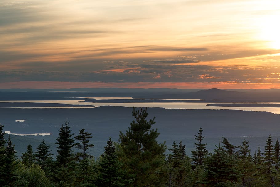 light, sea, dawn, landscape, beautiful, clouds, cloudy, conifer HD wallpaper