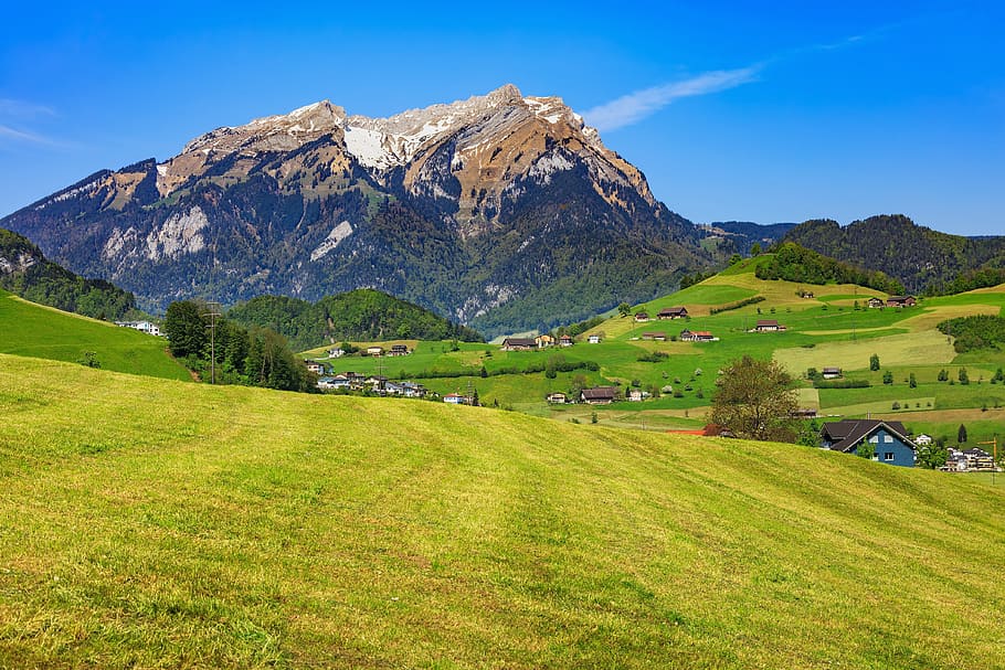 green grass field under clear blue sky, stanserhorn, pilatus, HD wallpaper