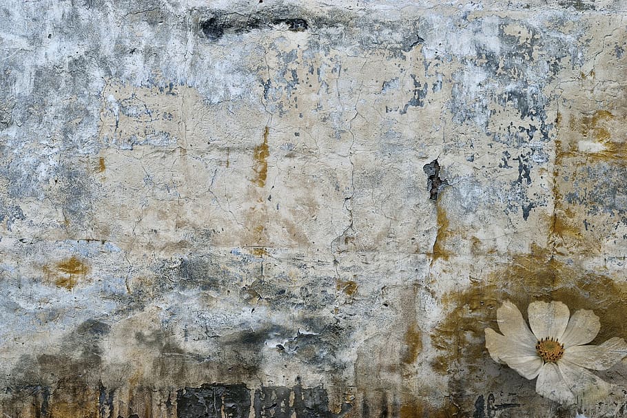 untitled, spot, stain, old wall, wallpaper, background, flower HD wallpaper