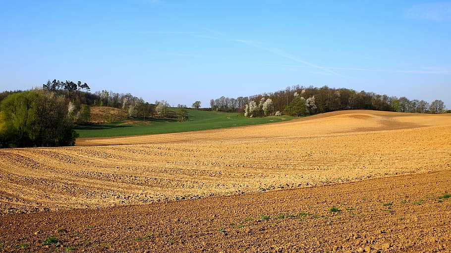 mati, nature, field, landscape, sky, rural district, tree, village HD wallpaper