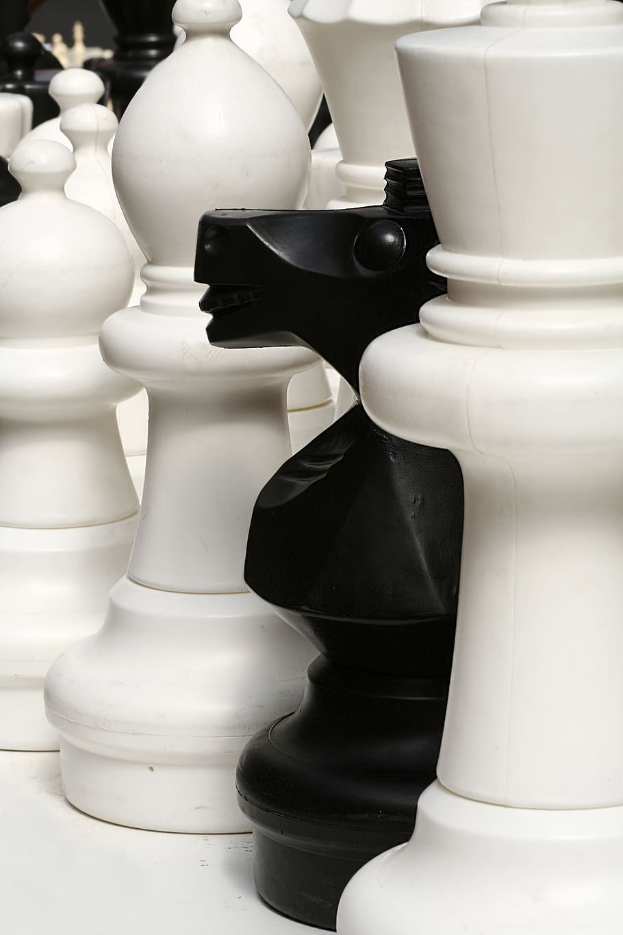 white and black chess pieces, game, board, thinking, play, move