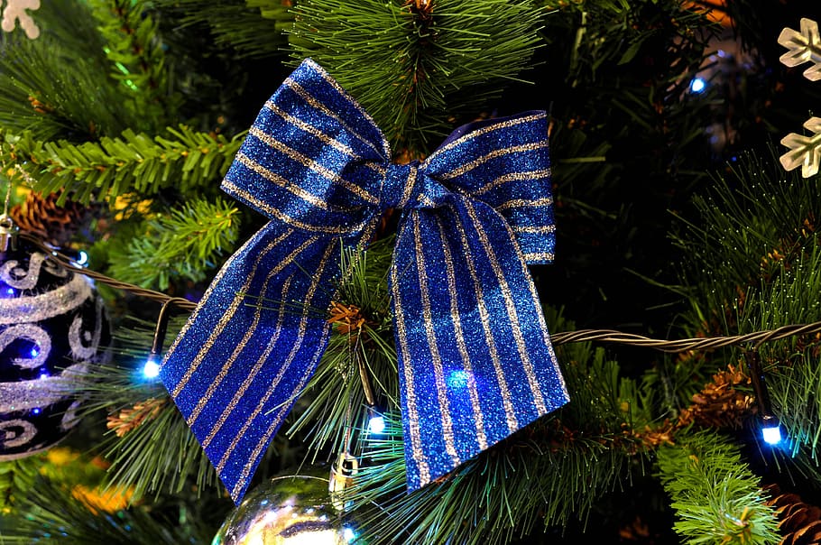 blue ribbon on Christmas tree, decoration, xmas, winter, green HD wallpaper