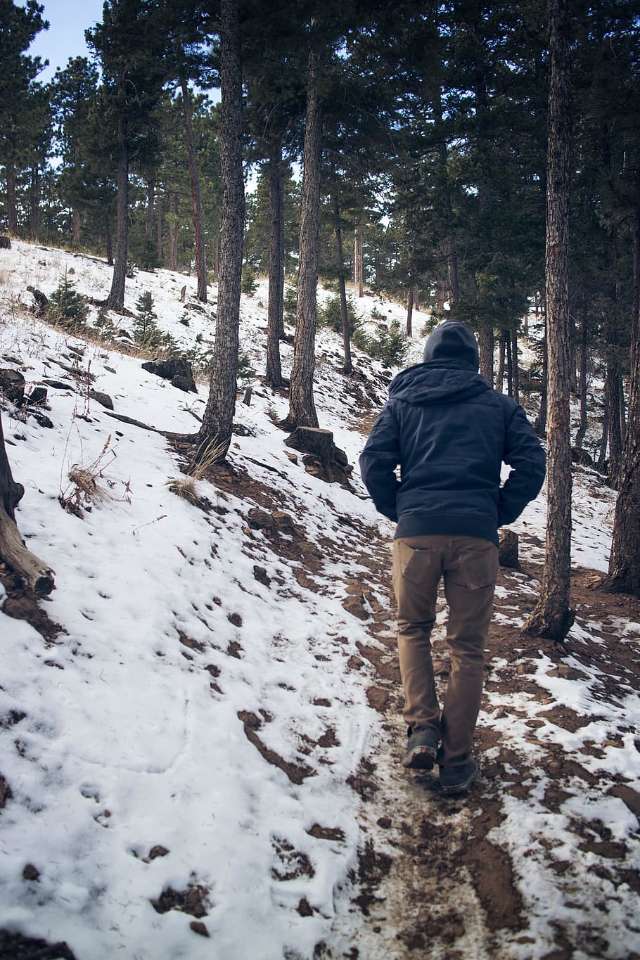 man wearing black hooded coat walking under trees with snow during winter, man walking on forest HD wallpaper