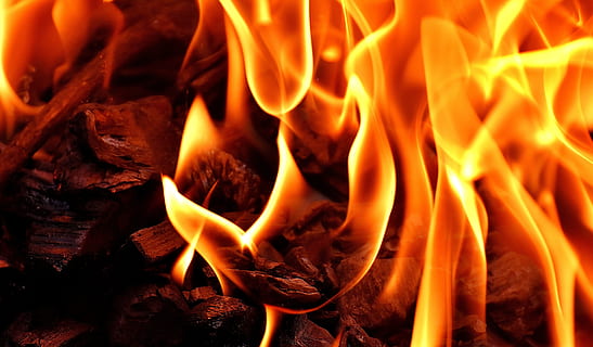 brown fire illustration, flame, carbon, burn, hot, mood, campfire HD wallpaper