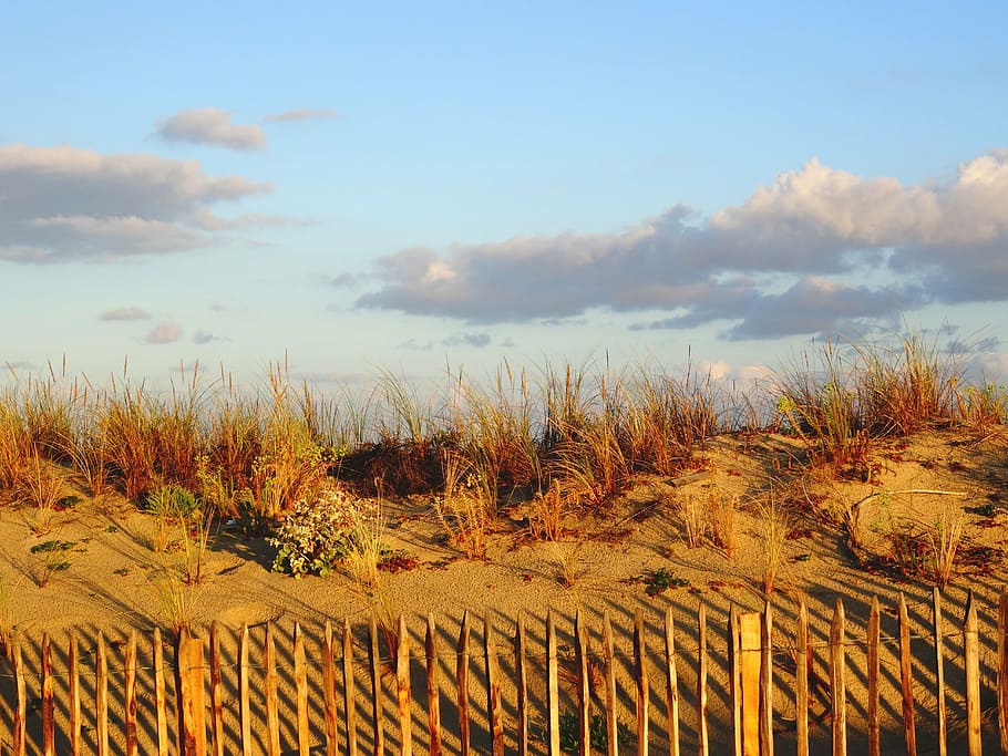 dune, beach, sand, atlantic coast, nature, sand Dune, sunset HD wallpaper