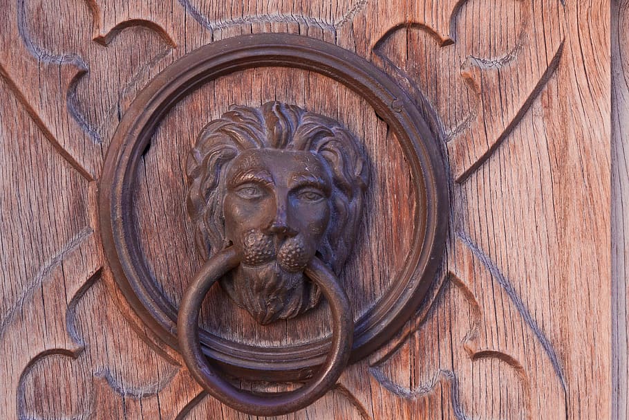 Lion, Door, Goal, Input, Wood, Gate, castle, church, wrought iron HD wallpaper