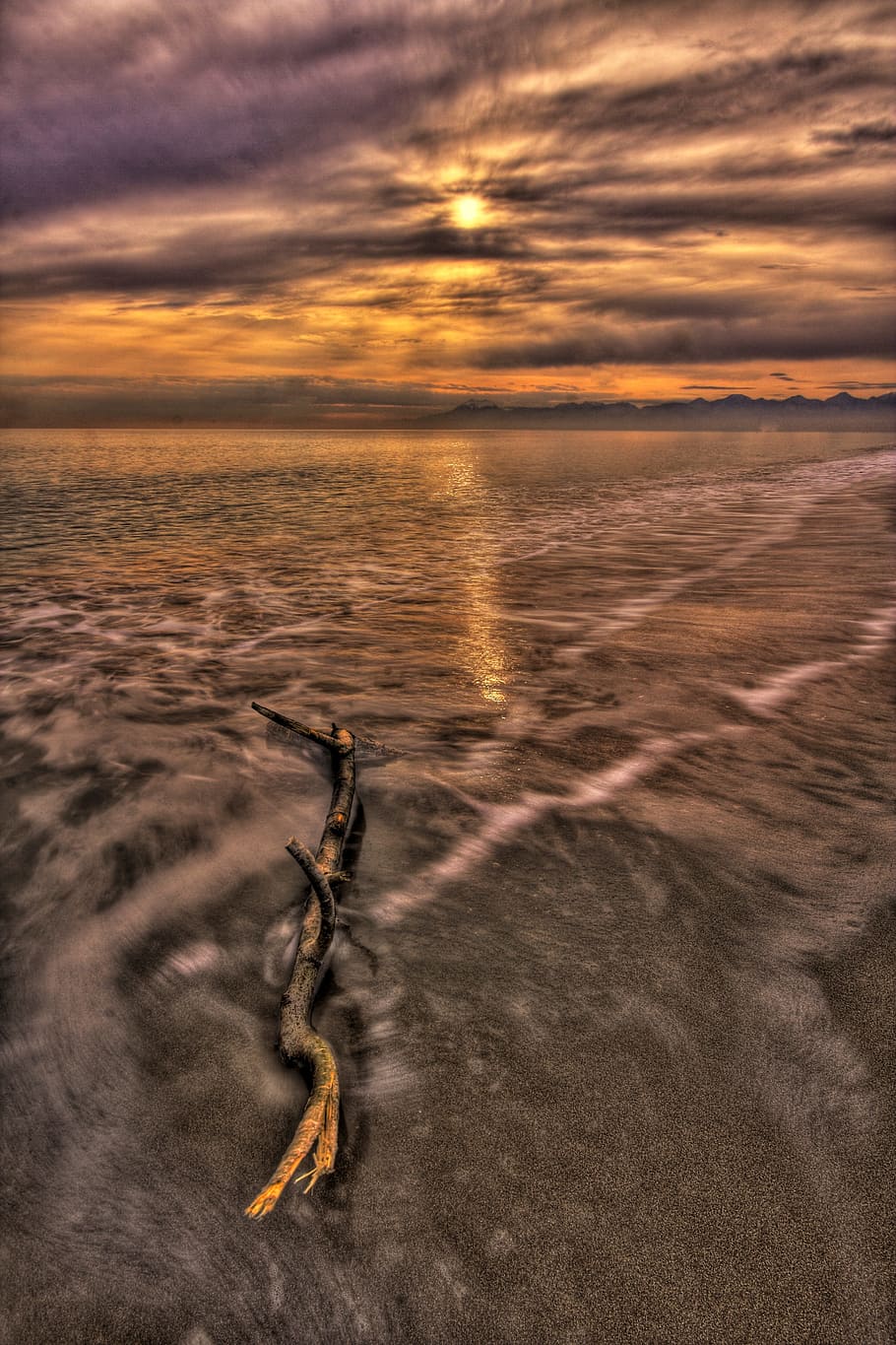 wood, light, sea, dawn, beach, beautiful, branch, clouds, coastal HD wallpaper