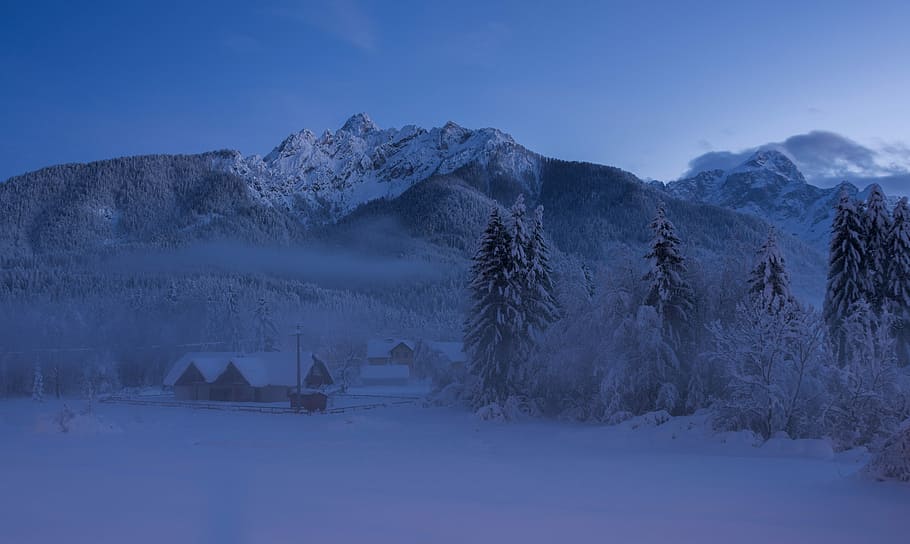 snow covered houses near tall trees, snow-covered mountains, landscape HD wallpaper