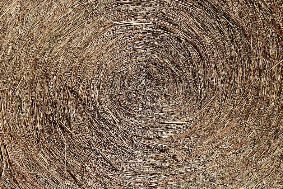 Hay Bale, Texture, Pattern, Dried, Grass, dried grass, animal food HD wallpaper