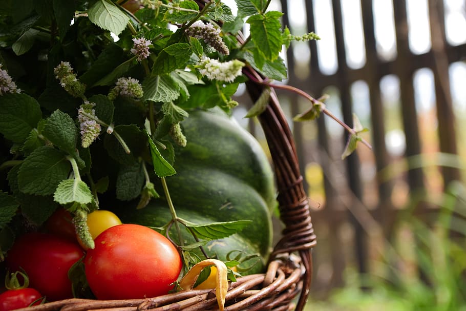 basket, vegetables, scuttle, tomato, pumpkin, mint, food and drink HD wallpaper