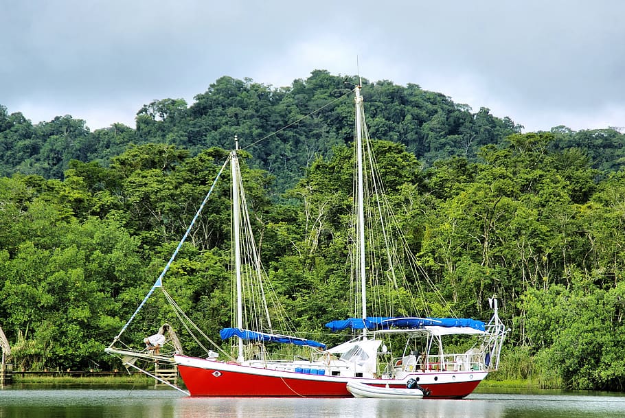 sailboat, river, rainforest, nautical vessel, water, tree, plant HD wallpaper