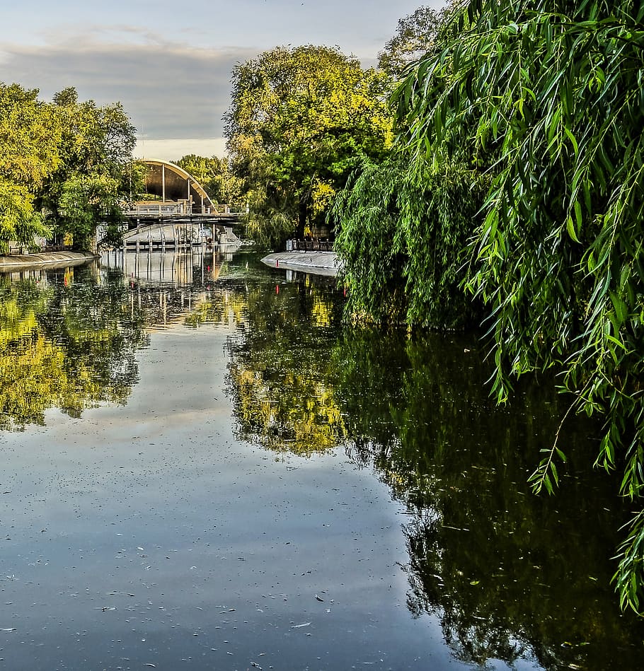 park, lake, trees, water, reflection, plant, built structure HD wallpaper