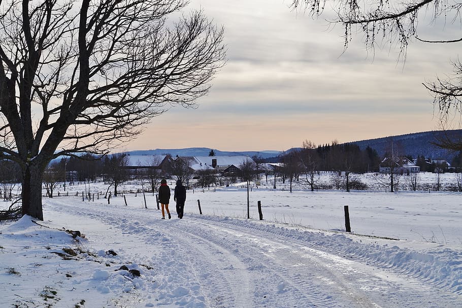 winter, snow, path, road, snowy, frost, icy, mountains, cold temperature HD wallpaper