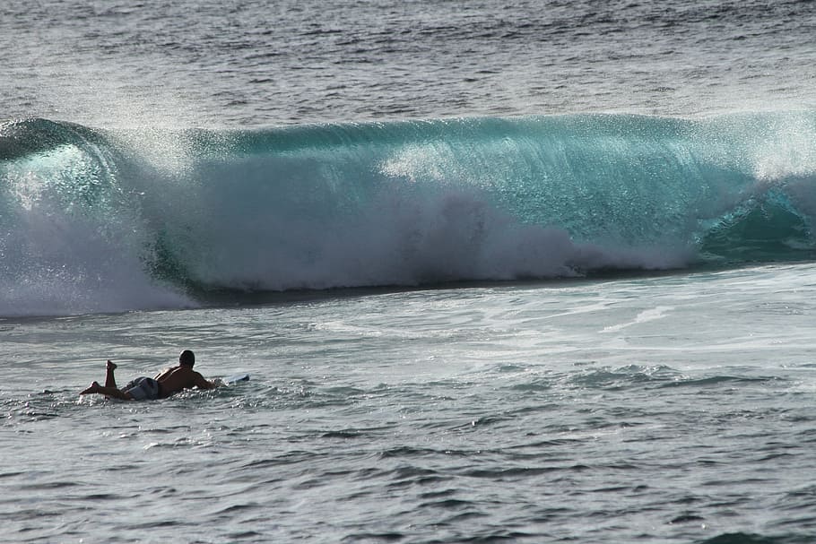 wave, sea, surf, water, drive, swim, paddle, motion, swimming HD wallpaper