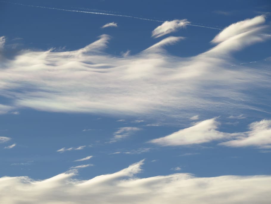 Sky, Clouds, Blue, Cloud, Contrail, clear, sunny, beautiful HD wallpaper
