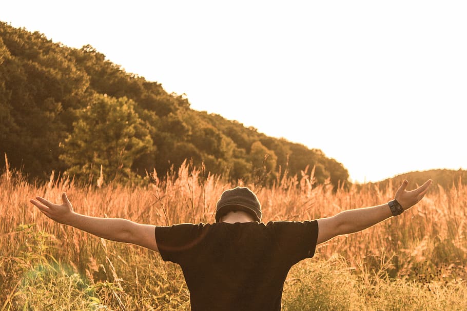 man standing in the middle of field, person raising two arms facing plants HD wallpaper