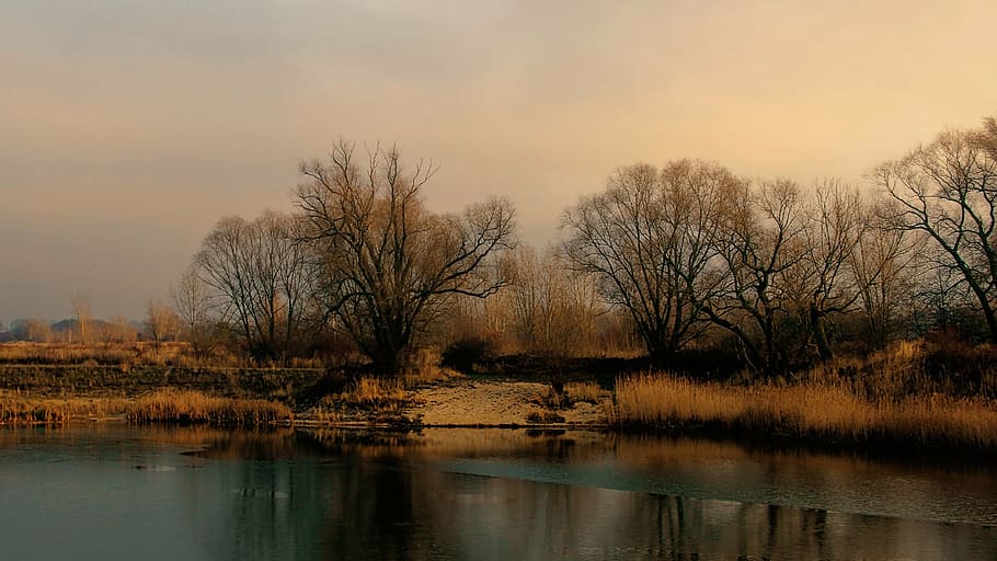 twilight, sunset, winter sunset, abendstimmung, evening sky HD wallpaper