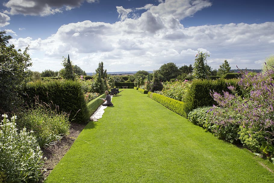 rhs hyde hall, garden, box topiary, gardener, lawn, blue sky