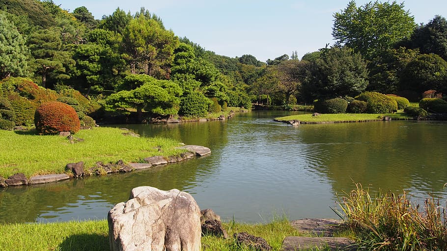 japan, garden, green, plant, tree, water, lake, beauty in nature HD wallpaper