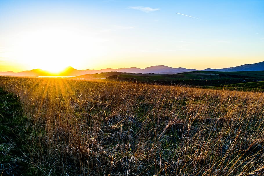 green grass field under sunny sky, sunset, west, rays, country HD wallpaper