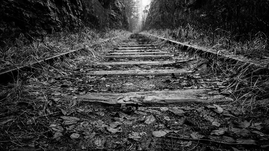 grayscale photo of train rail beside tree, trail, grass, black and white HD wallpaper