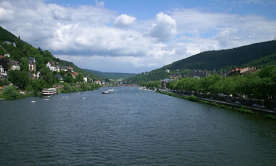 heidelberg, neckar, city, old bridge, river, baden württemberg