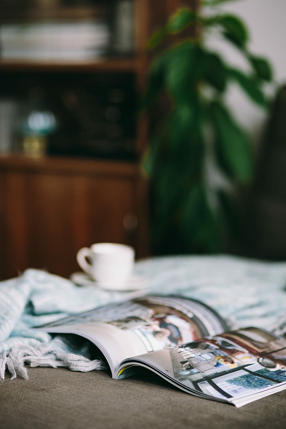 Resting with magazine and cute puppy, interior, relax, relaxing HD wallpaper