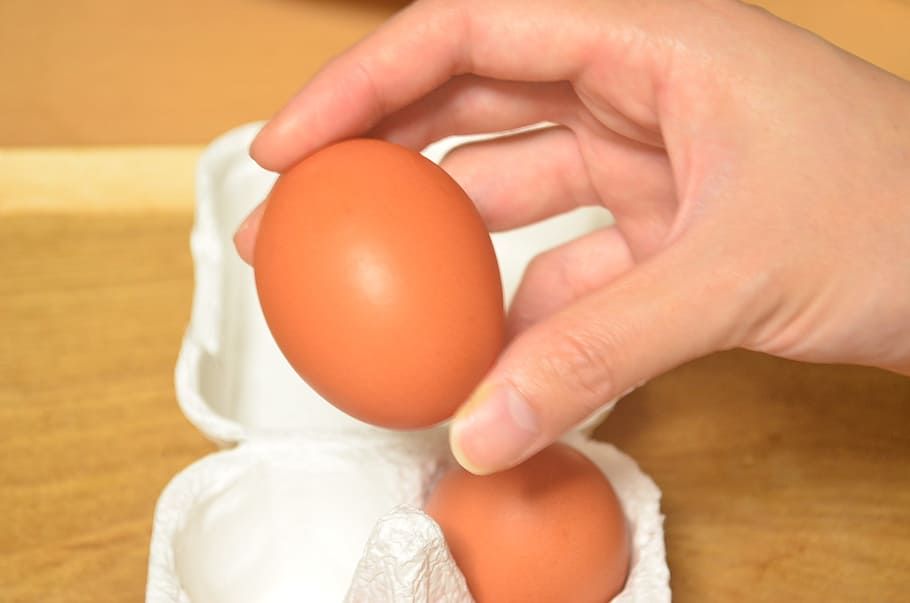 Egg, Huang, Food, human body part, human hand, sport, close-up HD wallpaper