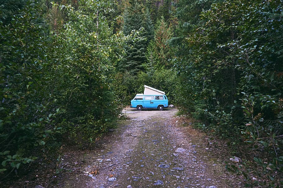 blue van surrounded by green trees during daytime, blue van on forest
