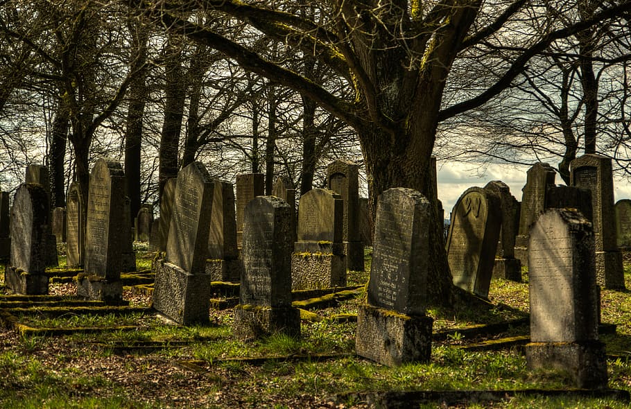 gray tomb stones under dead tree, jewish cemetery, silent, evening sky