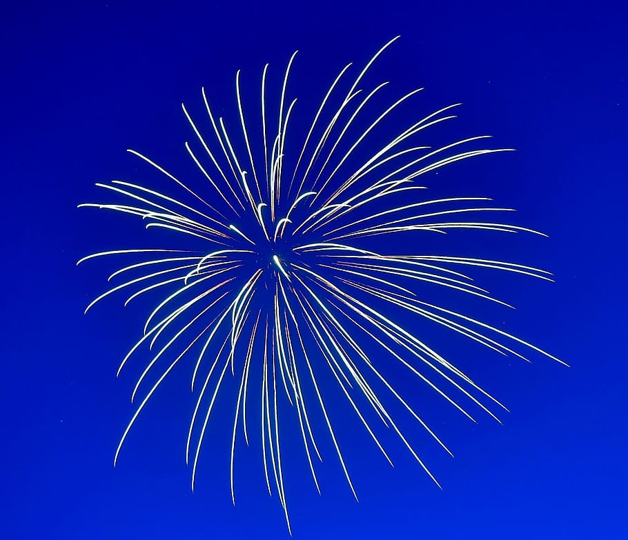 firework under blue clear sky, fireworks, celebration, happy HD wallpaper