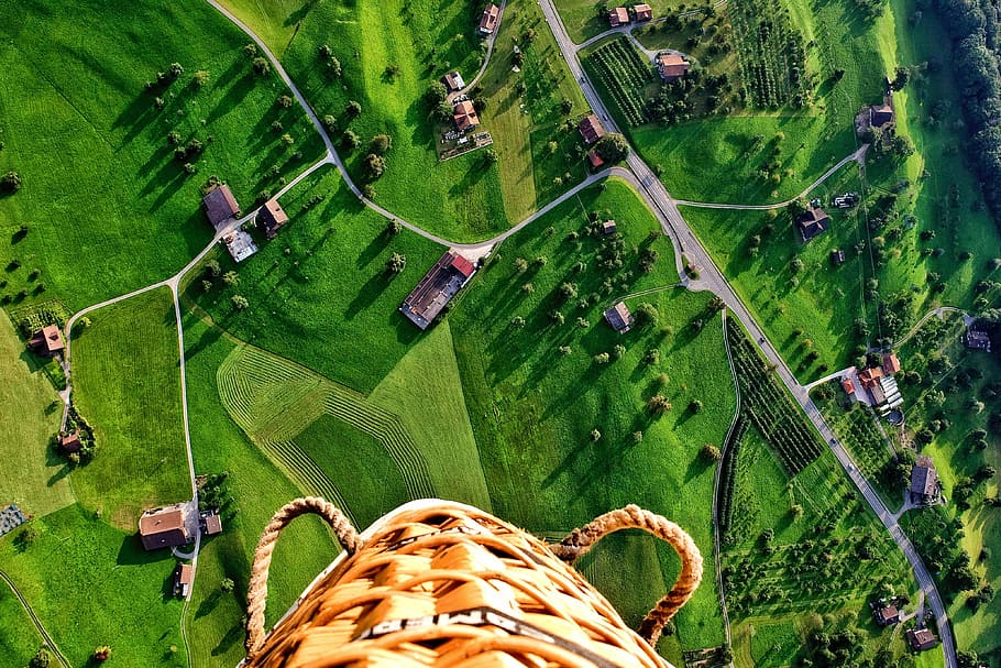 top view of farm, green, grass, aerial, trees, plant, nature HD wallpaper